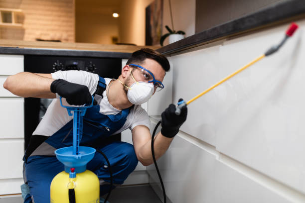 Best Wildlife Control Services  in Lyford, TX