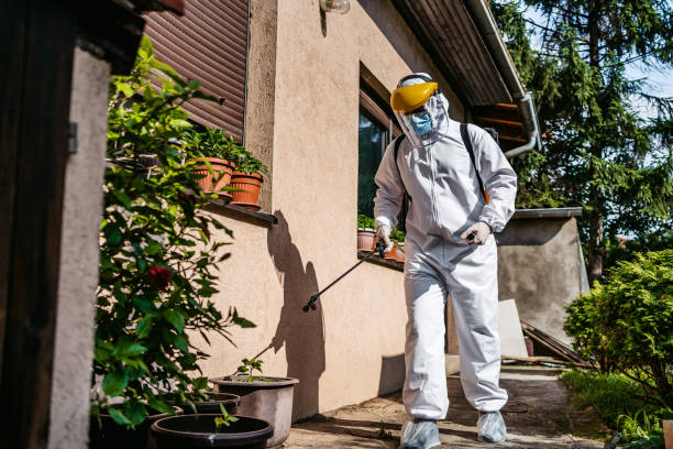 Best Ant Control Services  in Lyford, TX