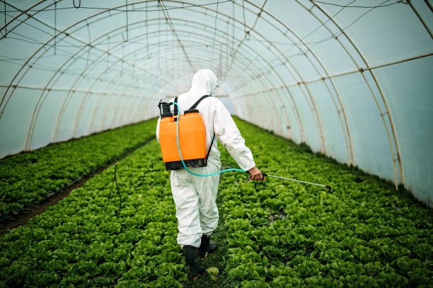 Professional Pest Control in Lyford, TX