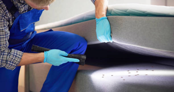 Best Rat Extermination Near Me  in Lyford, TX